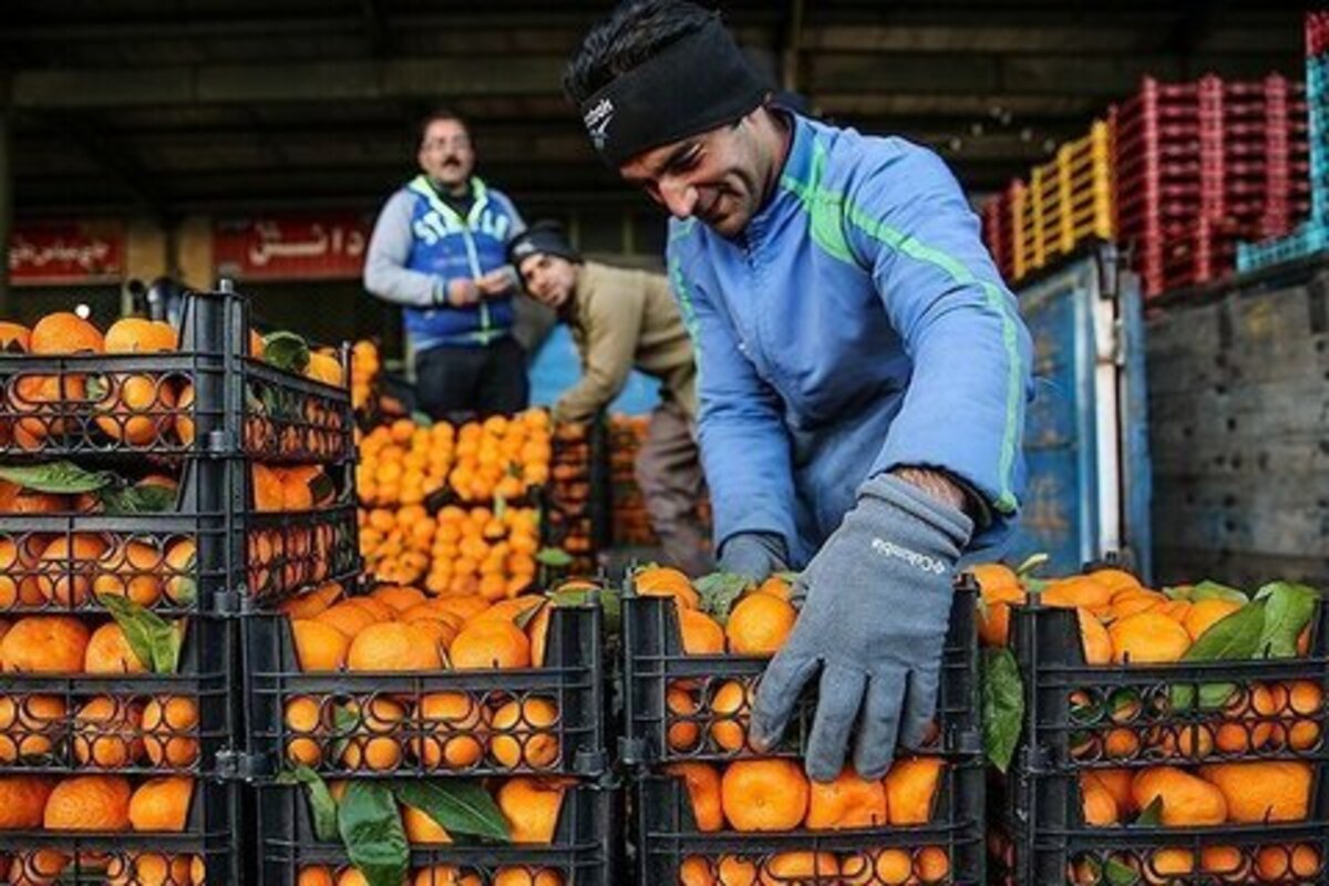 قیمت میوههای تنظیم بازاری شب عید اعلام شد قیمت میوههای تنظیم بازاری شب عید اعلام شد