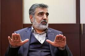 کمالوندی: توافق نشود احتمالا اطلاعات دوربین&zwnj;های نظارتی آژانس حذف می&zwnj;شود
