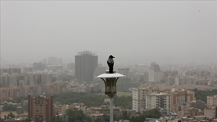 میلیونها ایرانی زیر ضرب آلودگی هوا میلیونها ایرانی زیر ضرب آلودگی هوا