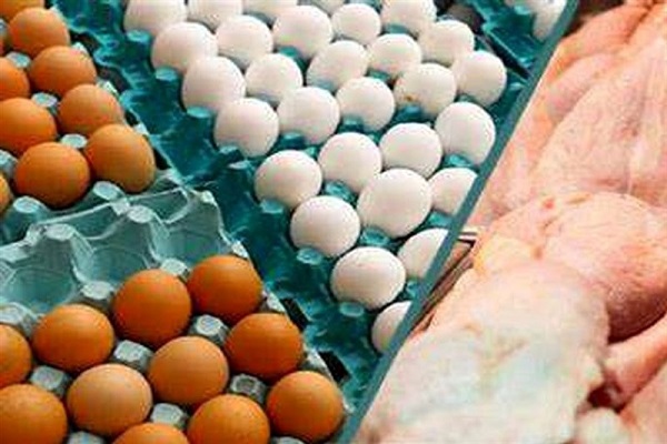 قیمت تخممرغ هم به زیر نرخ مصوب رسید+ قیمت جدید قیمت تخممرغ هم به زیر نرخ مصوب رسید+ قیمت جدید
