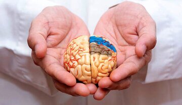 هر ۳.۲ ثانیه یک نفر در جهان به این بیماری خطرناک مبتلا میشود هر ۳.۲ ثانیه یک نفر در جهان به این بیماری خطرناک مبتلا میشود
